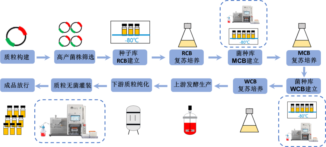 【收藏】細(xì)胞庫、菌株庫、質(zhì)粒庫的自動化灌裝解決方案