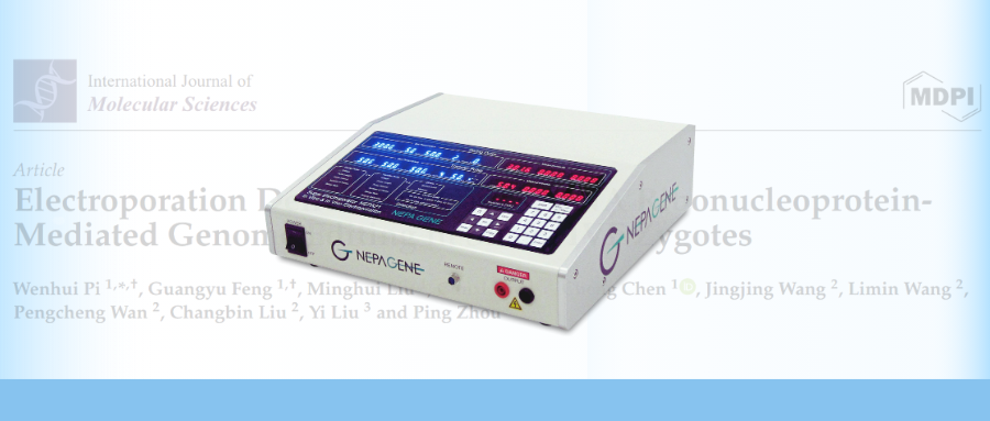 【重磅】電轉(zhuǎn)利器NEPA21，助力綿羊IVF受精卵基因組編輯