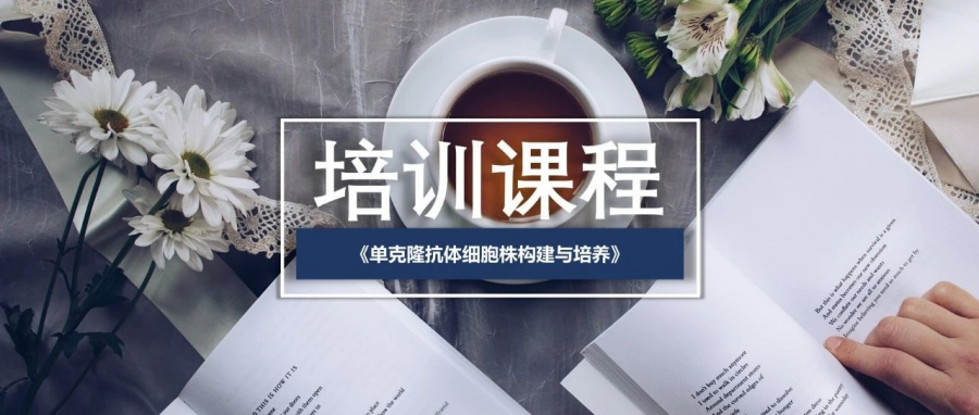 免費(fèi)培訓(xùn) | 單克隆抗體細(xì)胞株構(gòu)建與培養(yǎng)（免費(fèi)課程，報(bào)名從速）