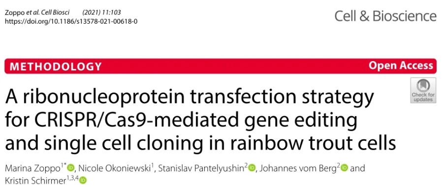 NEPA21文獻(xiàn)回顧—虹鱒魚細(xì)胞中CRISPR/Cas9介導(dǎo)的基因編輯的核糖核蛋白轉(zhuǎn)染和單細(xì)胞克隆方法